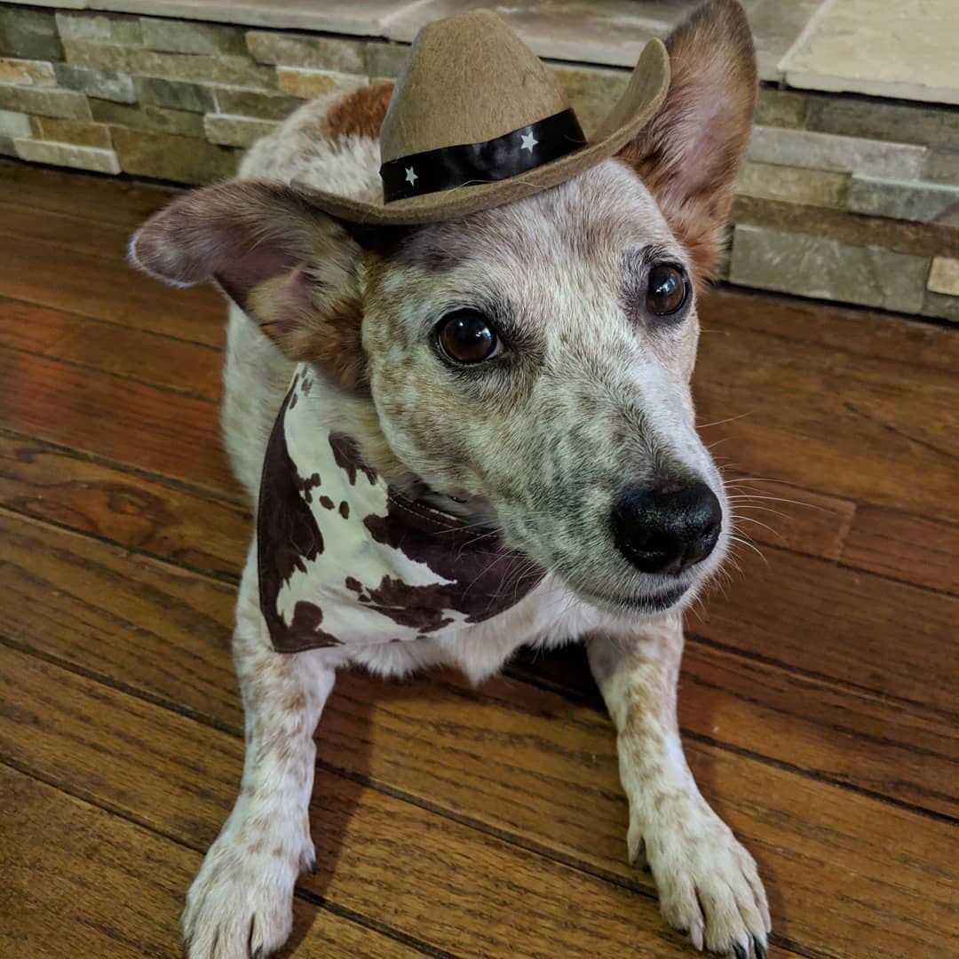 Howdy Partner!